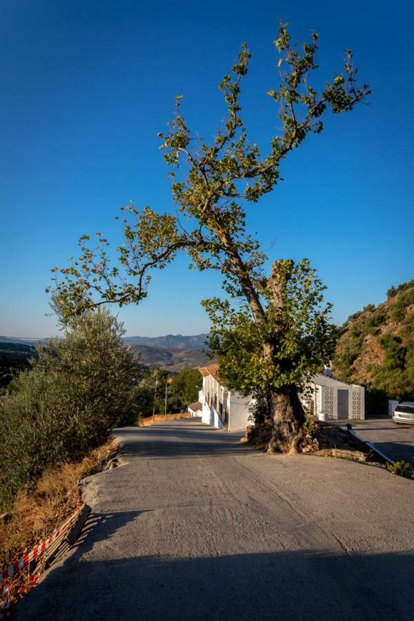 B&B Villa Deseada Periana Luaran gambar